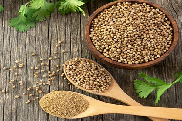Coriander_Seeds