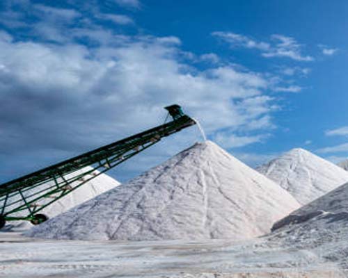 salt_manufacrur